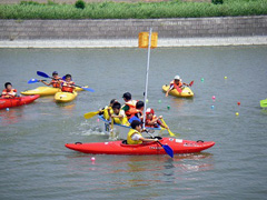 �J�k�[�Ő���ʓ��ꋣ��