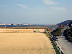 �͐�~�̖싅��