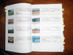 �N�ԗ��p�󋵂̕񍐏�