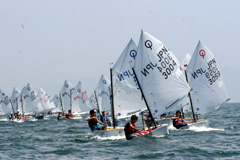 �u2005 �a���f OP�����b�g���v�啪���