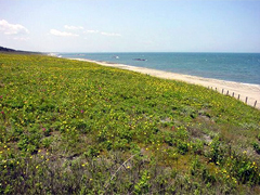 15km�ɋy�Ԓ����C�ݐ���L���Ă���ٓ��s