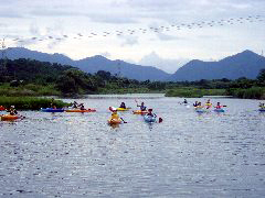 �J�k�[��̌�����q�ǂ�����