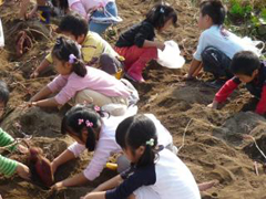 �_�Ƒ̌��ŃT�c�}�C���@��ɒ��킷��q�ǂ�����