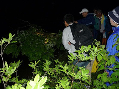 �i�C�g�E�H�[�N�Ń����A�I�K�G���̐��Ԃ��ώ@����n���̎q�ǂ�����