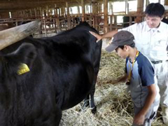 �{�Y�����̌��B���јa���̃u���b�V���O