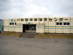 �ٓ��s�����a���f�C�m�Z���^�[�̃v�[���{��