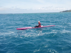 �w���{�����C�ŃJ�k�[�ɏ��˓c����