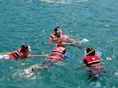 �C�m���N���F�[�V�����̑̌����K �V���m�[�P�����O