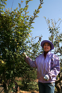 �B��s�̂�����Ŕ_��Ƃ������݂���