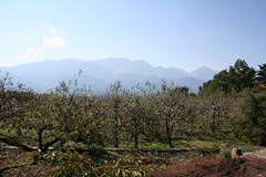 �Ƃ̐����ɂ͗Y��ȓ�A���v�X�A��