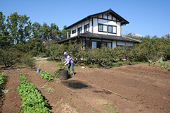 ���O�̔��Ŋ��𗬂��݂���