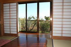 �x�m�R�𒭂߂邱�Ƃ��ł���쑤�̉���