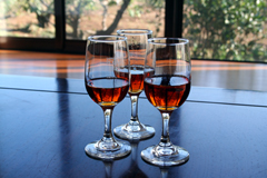 23�N���̔~��