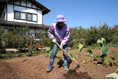 �ʐ^�F�����k���݂���