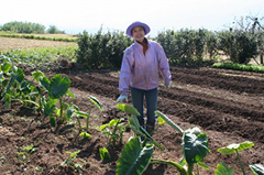 �ʐ^�F�T�g�C�������n����݂���