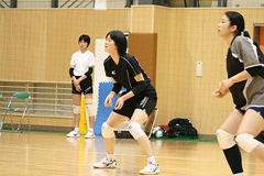 �ʐ^�F���V�[�u�̎p�����Ƃ�R������