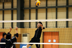 �ʐ^�F���K���ɃX�p�C�N��łR������