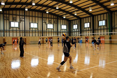 �ʐ^�F���R�s���̑̈�قł̗��K���i