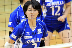 �ʐ^�FV�E�v���~�A���[�O�������̎R������