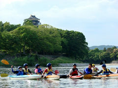 �ʐ^�F����̐쉺������Ă���q�ǂ��B