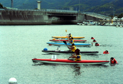 �ʐ^�F���ɑO�̐��ʂɕ��񂾃J�k�[�����̎Q����