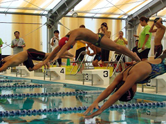 �ʐ^�F�k���u���b�N���̗l�q