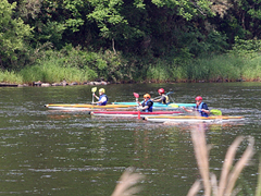 �ʐ^�F�J�k�[�Ő쉺�������q�ǂ�����