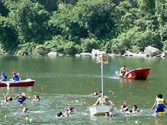 �ʐ^�F�C�m�܂萅��X�|�[�c���̗l�q