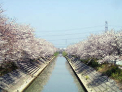 �ʐ^�F�����쉈���̍�����