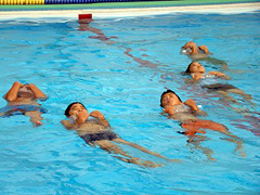 �ʐ^�F�y�b�g�{�g��������ċ����Ńv�[���ɕ����Ԏq�ǂ�����