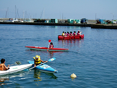 �ʐ^�F�}�����X�|�[�c���y���ގq�ǂ�����