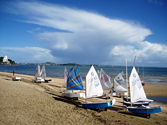 �ʐ^�F�������j���[�W�[�����h�̊C�ݐ��Ƀ��b�g������ł���