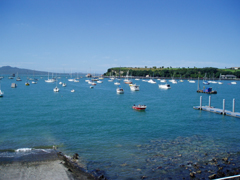 �ʐ^�F�j���[�W�����h�̕��i