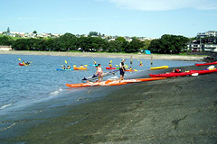 �ʐ^�F���₩�ȓ��]�ŃJ�k�[�̗��K�ɗ�ރj���[�W�[�����h�̎q�ǂ�����