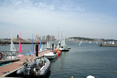 �ʐ^�F�̌���D��s��ꂽ�n�[�o�[�̎V��