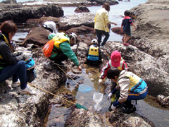 �ʐ^�F���]�Œ����܂�̊ώ@������q�ǂ�����