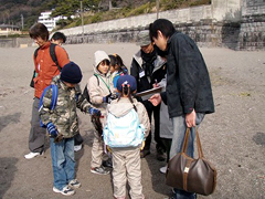 �ʐ^�F�n���̕l�Ńr�[�`�R�[�~���O���s���N���u�̐e�q