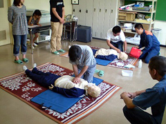 �ʐ^�F�~�}�~���u�K��̗l�q�B���h���̎w���̂��ƁA�l�`���g�p���ė��K