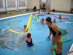 �ʐ^�F�c�����j�����̗l�q