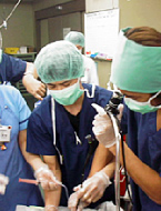 �ʐ^�F�~���~�}�̌���̗l�q