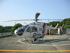 �ʐ^�F�h�N�^�[�w���T��