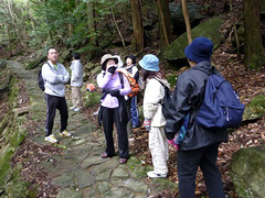 �ʐ^�F�R�������y���ލ����