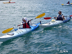 �ʐ^�F�J�k�[���y���ލ����