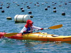 �ʐ^�F���Ă��΍����������s���Ȃ���J�k�[���y���ލ���҂̏���