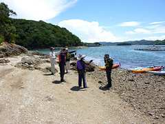 �ʐ^�F�o�R���y���ރI�^�b�V�������̊F����