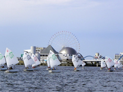 �ʐ^�F���É��̊C�ŗ��K�ɗ�ރN���u�̎q�ǂ�����