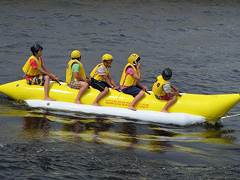 �ʐ^�F�o�i�i�{�[�g�̌�������q�ǂ�����