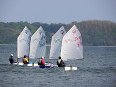 �ʐ^�F�l���΃W���j�A���b�g�N���u�Ƃ̍������K�ɗ�ގq�ǂ�����