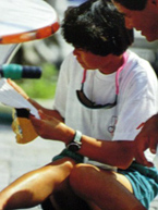 �ʐ^�F�C�G���[�X�e�b�J�[�𔍂����d����