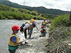 �ʐ^�F��Ő��������̐��Ԃ𒲂ׂ�q�ǂ�����